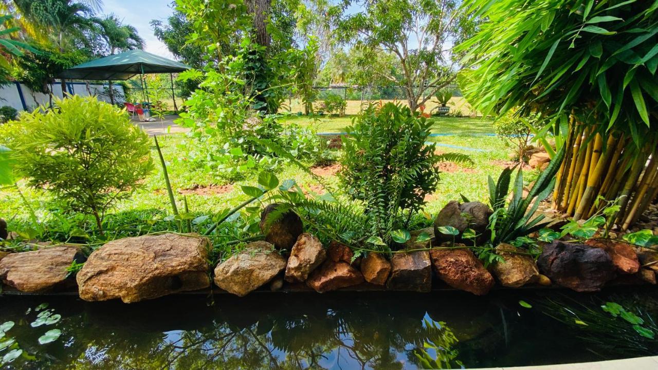 Owin Rose Yala Safari Hotel Тиссамахарама Экстерьер фото