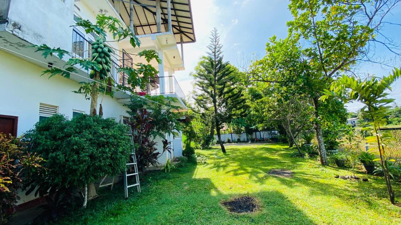 Owin Rose Yala Safari Hotel Тиссамахарама Экстерьер фото