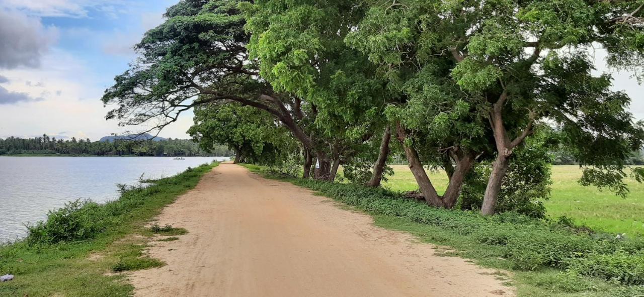 Owin Rose Yala Safari Hotel Тиссамахарама Экстерьер фото
