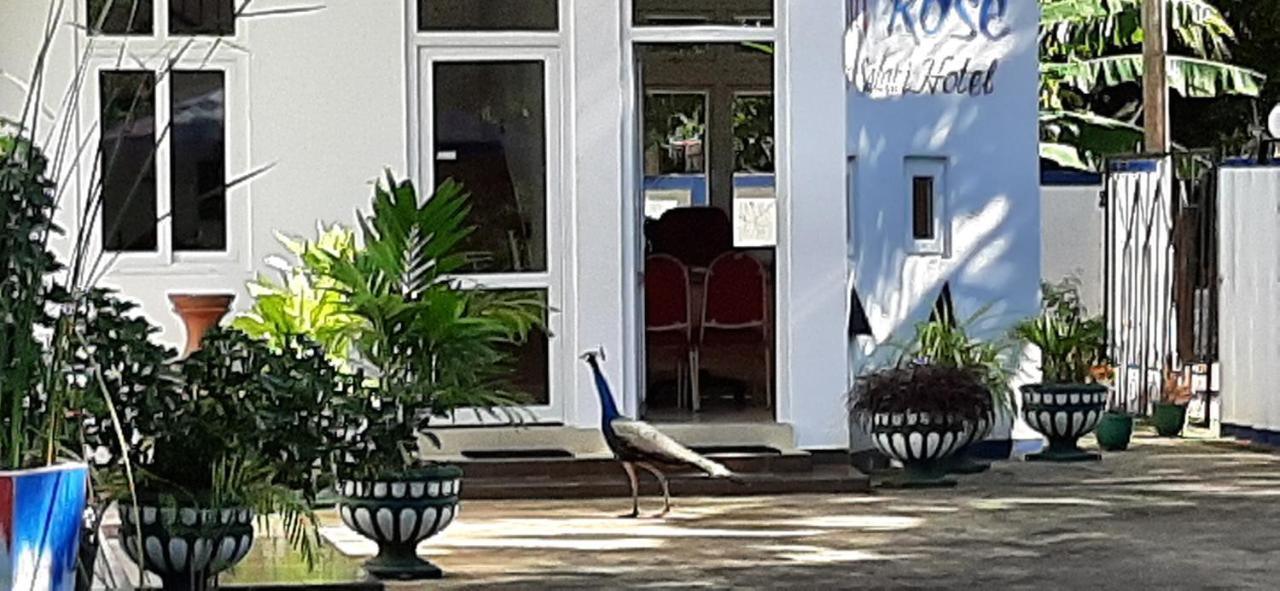 Owin Rose Yala Safari Hotel Тиссамахарама Экстерьер фото